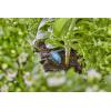 GARDENA Systém Micro-Drip 13315-20 Řadový kapač 4,6 mm