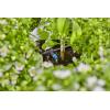GARDENA Systém Micro-Drip 13317-20 Řadový kapač 4,6 mm