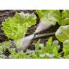 GARDENA Systém Micro-Drip 13319-20 Pruhová tryska 13 mm (1/2) Ø
