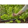 GARDENA Systém Micro-Drip 13326-20 Prodlužovací trubice 13 mm (1/2) Ø