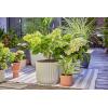 GARDENA Systém Micro-Drip 13400-20 Kompletní zavlažovací set 13 mm (1/2) Ø