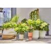 GARDENA Systém Micro-Drip 13400-20 Kompletní zavlažovací set 13 mm (1/2) Ø