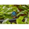 GARDENA Systém Micro-Drip 13324-20 Rozprašovací tryska 13 mm (1/2) Ø