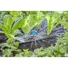 GARDENA Systém Micro-Drip 13324-20 Rozprašovací tryska 13 mm (1/2) Ø