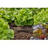 GARDENA Systém Micro-Drip 13216-20 T-kus 4,6 mm