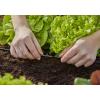 GARDENA Systém Micro-Drip 13211-20 T-kus 4,6 mm