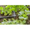 GARDENA Systém Micro-Drip 13212-20 L-kus 4,6 mm