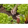 GARDENA Systém Micro-Drip 13214-20 Křížový šroub 4,6 mm