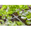 GARDENA Systém Micro-Drip 13214-20 Křížový šroub 4,6 mm