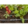 GARDENA Systém Micro-Drip 13204-20 T-kus 13 mm (1/2) Ø