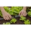 GARDENA Systém Micro-Drip 13206-20 T-kus