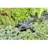 GARDENA Systém Micro-Drip 13306-20 Koncová maloplošná tryska 13 mm (1/2) Ø