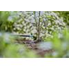 GARDENA Systém Micro-Drip 13307-20 Koncový kapač 4,6 mm