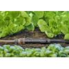 GARDENA Systém Micro-Drip 13222-20 kohoutová spojka 13 mm (1/2) Ø