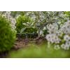GARDENA Systém Micro-Drip 13302-20 Řadový kapač 4,6 mm