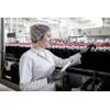 Ansell 11840R110-1P HyFlex® nylon, Spandex® pracovní rukavice Velikost rukavic: 11 EN 388:2016, EN 420-2003, EN 407:2020, EN 388-2003, EN 21420:2020, EN 407-04