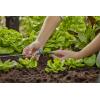 GARDENA Systém Micro-Drip 13316-20 Maloplošná tryska 4,6 mm
