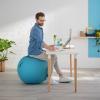 Leitz Ergo Cosy 52790061 1 ks