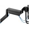 Neomounts držák na stůl pro monitor DS75-450BL2 2 Displej: (s) 43,2 cm (17) - 81,3 cm (32) černá, černá/modrá nastavitelná výška, naklápěcí, nakláněcí, otočný