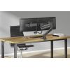 Neomounts držák na stůl pro monitor DS75-450BL2 2 Displej: (s) 43,2 cm (17) - 81,3 cm (32) černá, černá/modrá nastavitelná výška, naklápěcí, nakláněcí, otočný