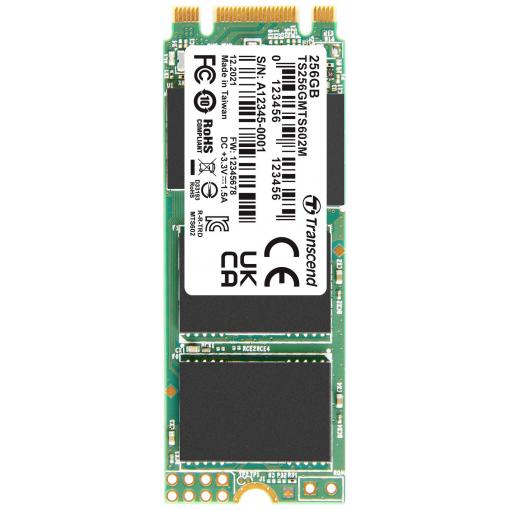 Transcend MTS602M 256 GB interní SSD disk SATA M.2 2260 SATA III Industrial TS256GMTS602M