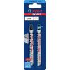 Bosch Accessories 2608901710 EXPERT ‘FIBER PLASTER’ T141 HM LISTY 2 ks