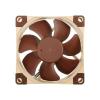 Noctua Noctua NF-A8 PWM Lüfter - 80mm PC větrák s krytem hnědá (š x v x h) 80 x 80 x 25 mm