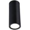 Paulmann 93107 Barrel LED osvětlení na stěnu/strop, LED, 6 W, černá (matná)