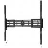 Neomounts držák na zeď pro monitor WL30S-950BL19 1 Displej: (s) 139,7 cm (55) - 279,4 cm (110) černá pevný
