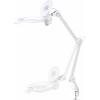 TOOLCRAFT TO-8194404 Svorková lupa s UV LED osvětlením zvětšení=1.75 x, 4.75 x 13.3 cm Třída energetické účinnosti 2021 F (A - G)