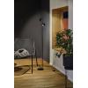Paulmann Pane I 79775 LED stojací lampa se světlem pro čtení LED 3 W černá