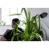 Technaxx TX-190 4989 Wi-Fi, LAN IP bezpečnostní kamera 2304 x 1296 Pixel