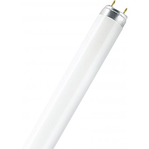 OSRAM zářivková trubice Energetická třída (EEK2021): G (A - G) G13 36 W teplá bílá zářivkový tvar (Ø x d) 26 mm x 1213.6 mm 1 ks