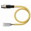 Turck RSC4.5T-2/TEY připojovací kabel pro senzory - aktory, 6629933, piny: 5, 2 m, 1 ks