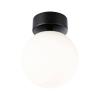 Paulmann 71072 Gove stropní svítidlo LED 9 W černá (matná), saténová