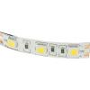 LED pásek 10 mm bílý, 60× LED5050/m, 12 V DC, IP20, 5 m