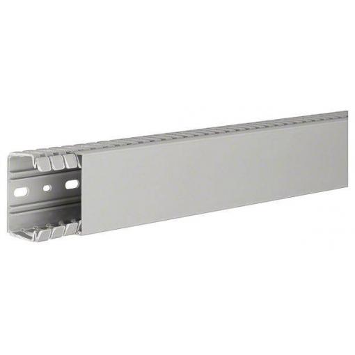 Hager BA740060 vodicí lišta (d x š x v) 2 m x 60 mm x 40 mm 2 m šedá