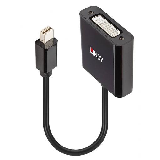 LINDY Monitor adaptér [1x mini DisplayPort zástrčka - 1x DVI] Lindy - Adapterkabel - Mini DisplayPort (M) 0.16 m