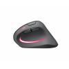 SpeedLink PIAVO PRO Illuminated optická myš, přenos bezdrátový, 5 tlačítko, 1200 dpi, 2400 dpi, 3200 dpi, černá