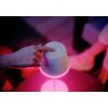 Philips Hue Go 8719514404571 akumulátorová stolní lampa LED 6.2 W bílá
