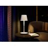 Philips Hue Go 8719514404571 akumulátorová stolní lampa LED 6.2 W bílá