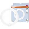 OSRAM HOMELIGHTING LED trubice Energetická třída (EEK2021): E (A - G) G10q kruhová zářivka 11 W = 22 W neutrální bílá (Ø x d) 312 mm x 212 mm 1 ks