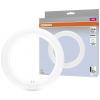 OSRAM HOMELIGHTING LED trubice Energetická třída (EEK2021): E (A - G) G10q kruhová zářivka 11 W = 22 W neutrální bílá (Ø x d) 312 mm x 212 mm 1 ks