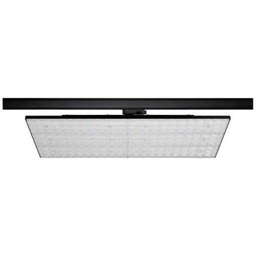 Paulmann ProRail3 Kratos LED pásové reflektory ProRail3 75 W LED černá