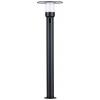 Paulmann 94835 Sienna sloupkové LED světlo LED 9 W antracitová