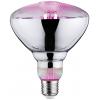 Paulmann LED lampa pro růst rostlin 230 V E27 6.5 W jantar 1 ks