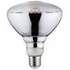 Paulmann LED lampa pro růst rostlin 230 V E27 6.5 W jantar 1 ks