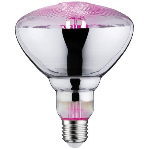 Paulmann LED lampa pro růst rostlin 230 V E27 6.5 W jantar 1 ks