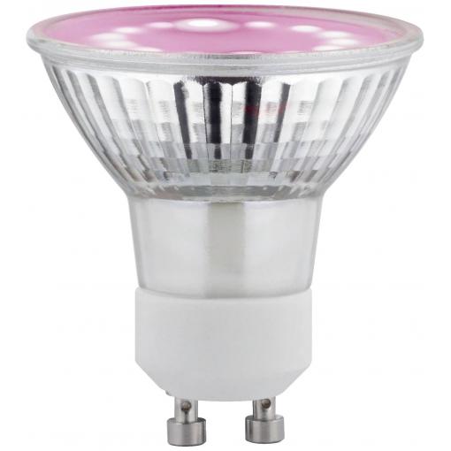Paulmann LED lampa pro růst rostlin 230 V GU10 3.5 W jantar 1 ks