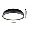Paulmann 71084 Oka LED stropní svítidlo LED 24 W černá (matná)